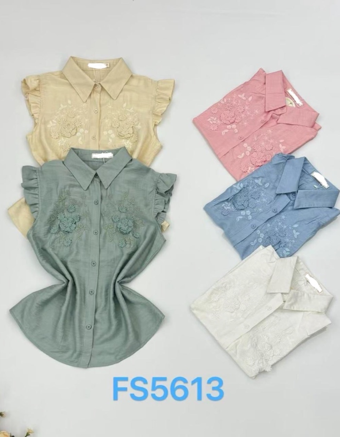 Blusa