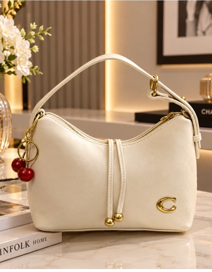 Coach Cary Hobo Importada premium 