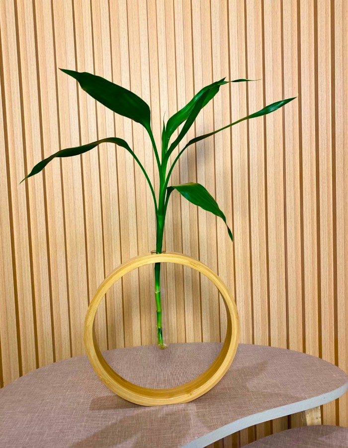 VASO SOLITÁRIO