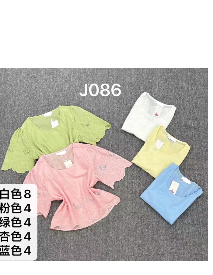 blusa 