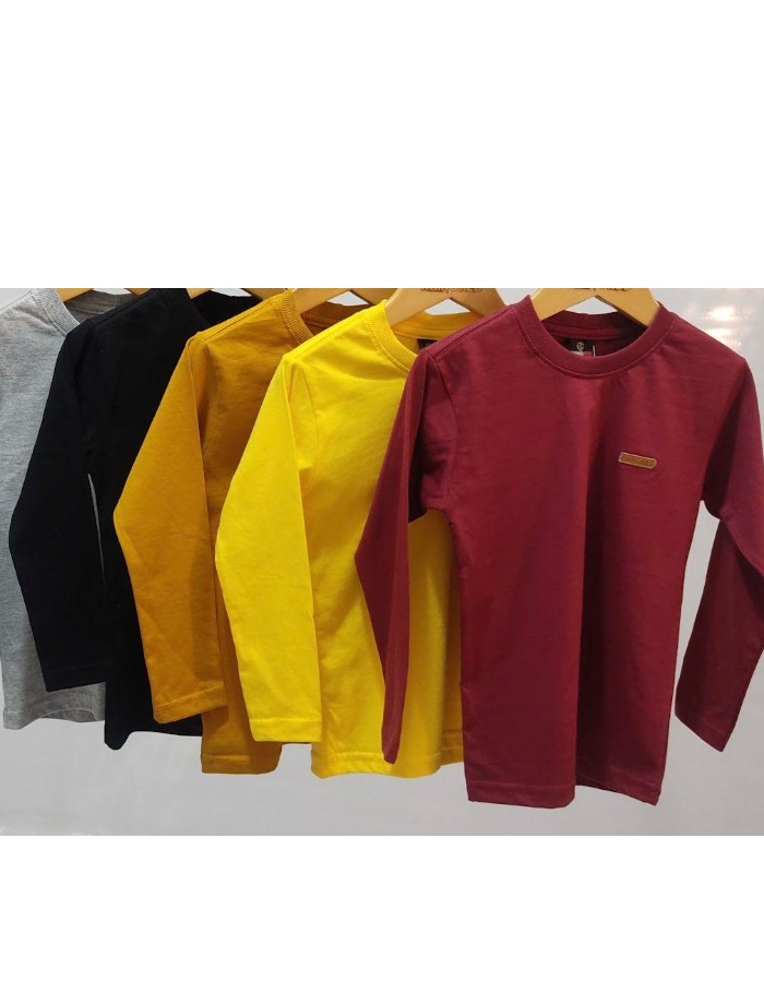 CAMISA MANGA LONGA PREMIUM