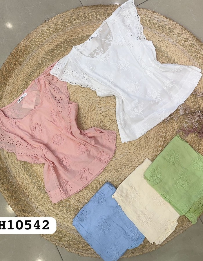BLUSA TECIDO LESI COM DETALHE BORDADO 