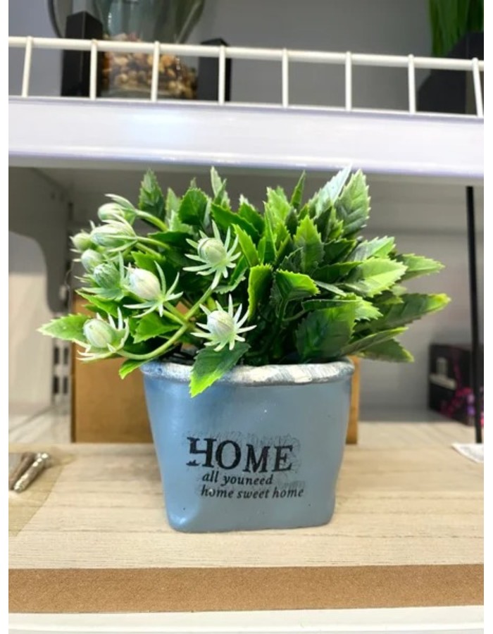 VASO/PLANTA