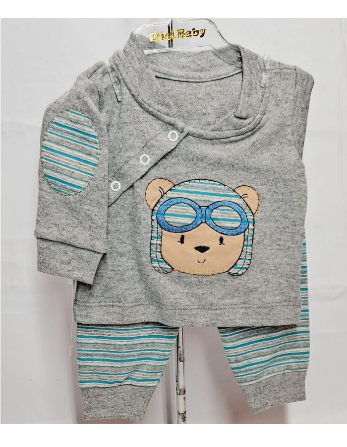 Pagao urso aviador