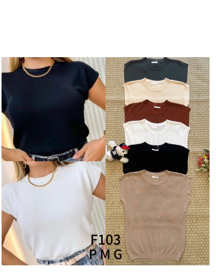 Blusa