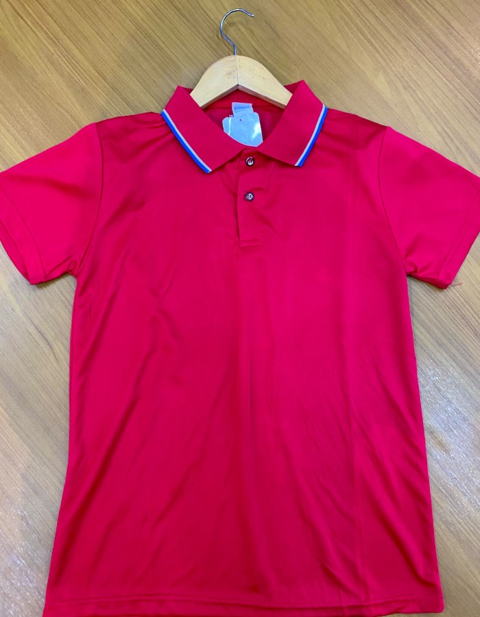 CAMISA POLO IMPORTADA
