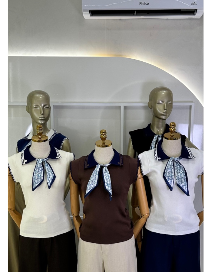 Blusa