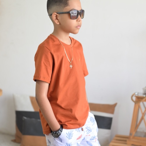 Camisa básica terracota