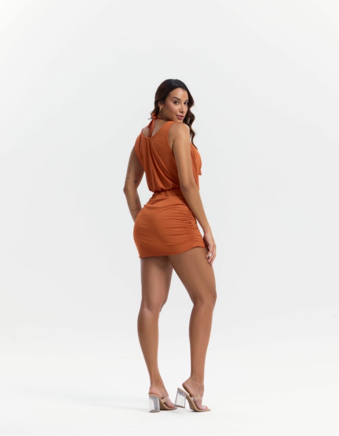 Produto 495 1