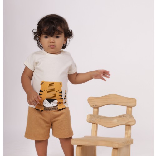 Conjunto Diego