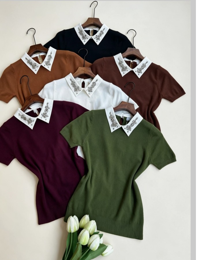BLUSA GOLA BORDADA  
