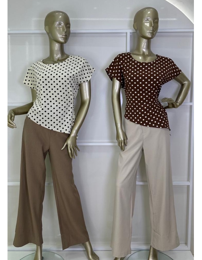 Blusa