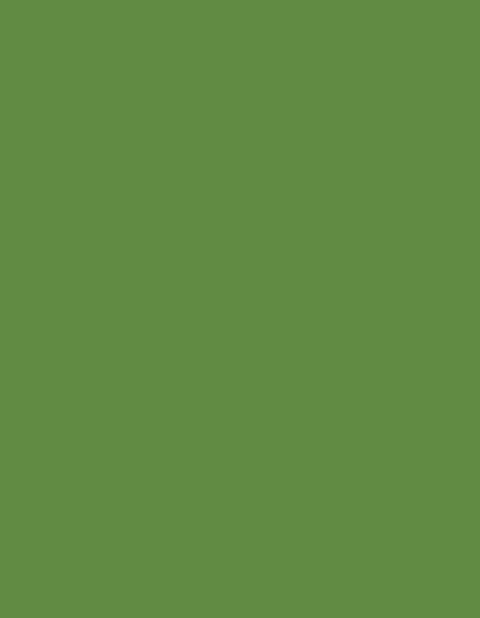 Produto 1130 2