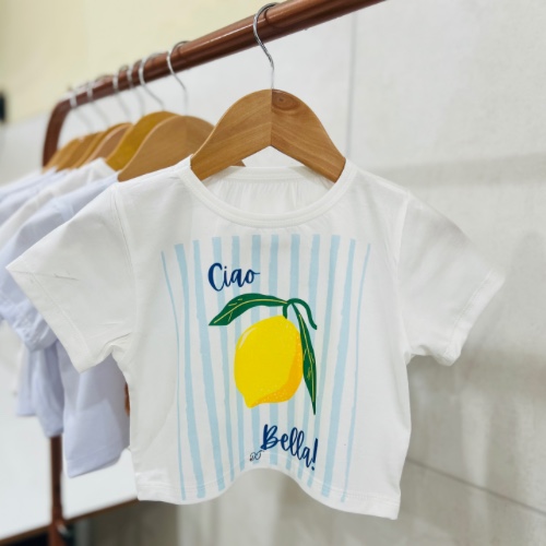 Produto cropped-basico-classico 4
