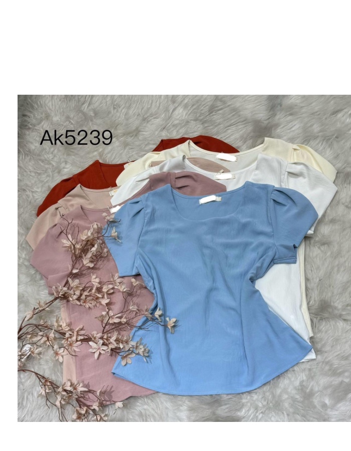 Blusa  