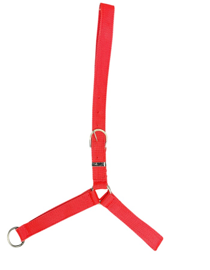 Produto 33036 1