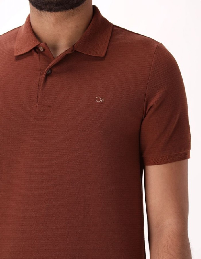 Polo Ogochi 