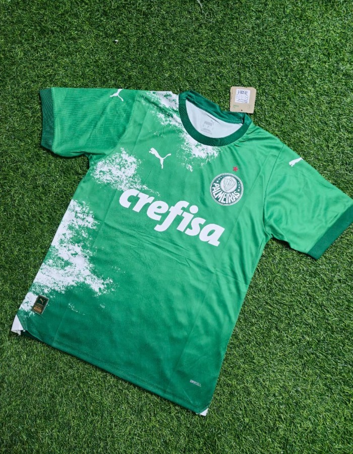 PALMEIRAS DESMATAMENTO 24/25