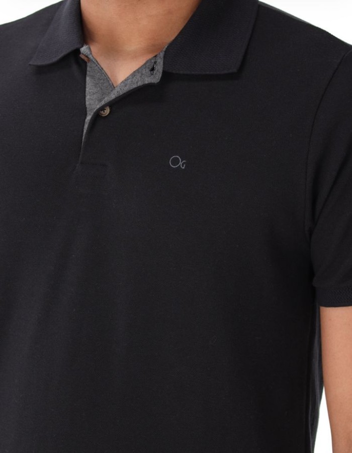 Polo Ogochi 