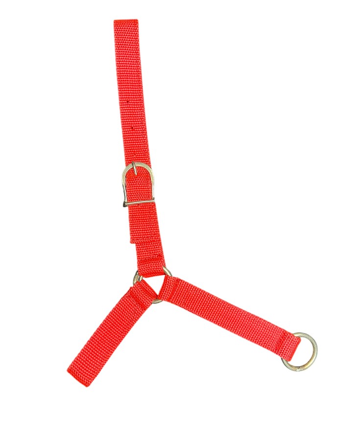 Produto 506 2