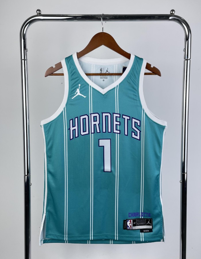 CHARLOTTE HORNETS 24-1