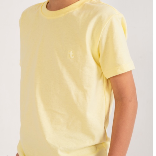 CAMISA BORDADA T