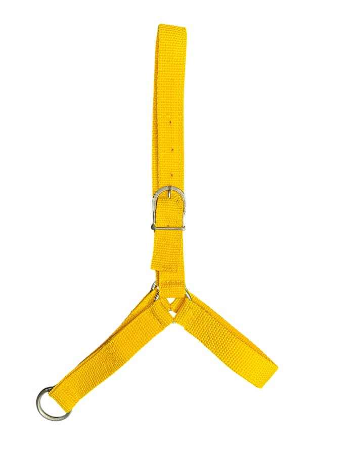 Produto 506 4