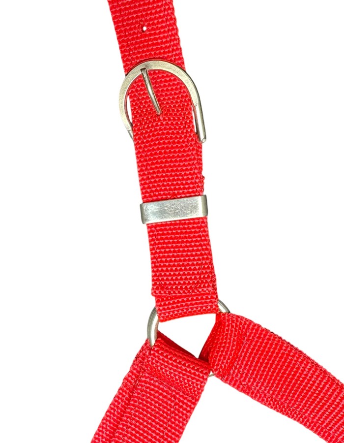 Produto 507 2
