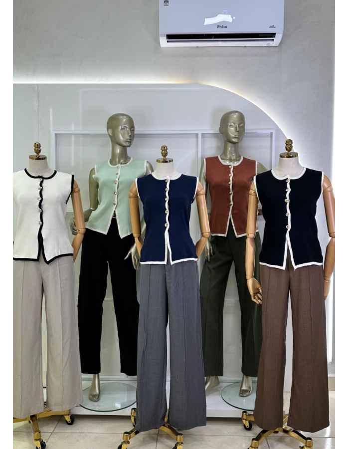 Blusa