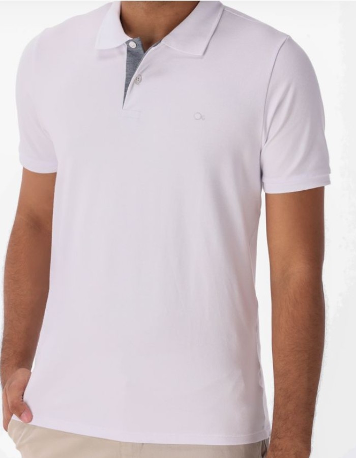 Polo Ogochi 