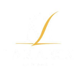 lamarck camisaria Loja 1