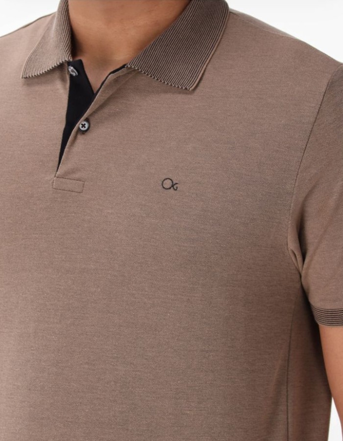 Polo Ogochi 