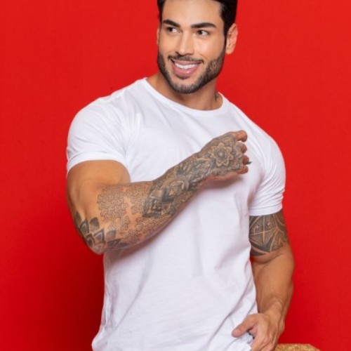 Camisa t-shirt living