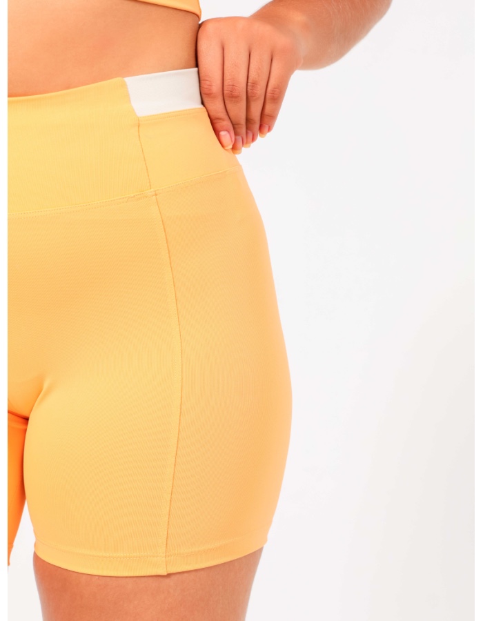 Produto 497 2