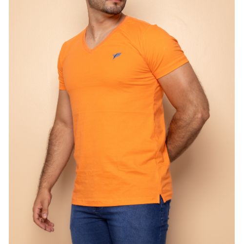 Camisa Gola V Lisa