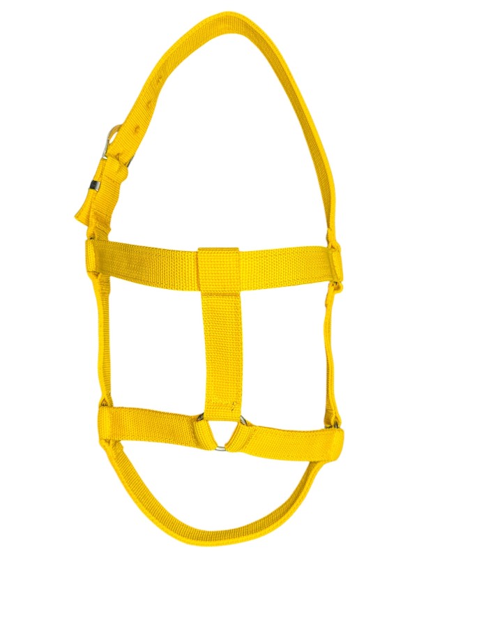 Produto 507 5