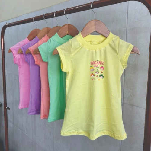 Produto tee-algodao-babylook 2