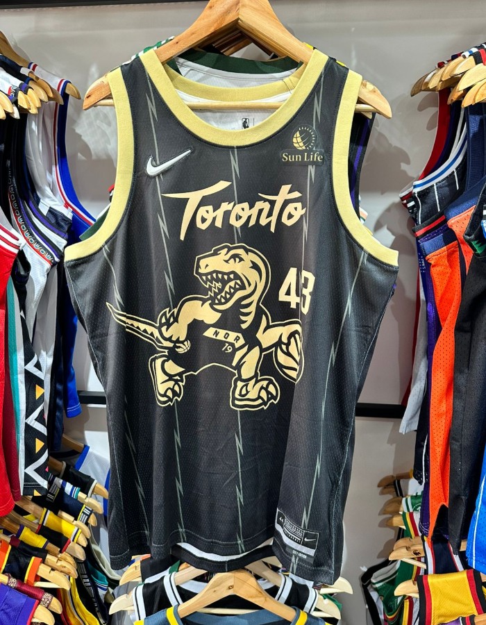 Toronto raptors - siakam 43
