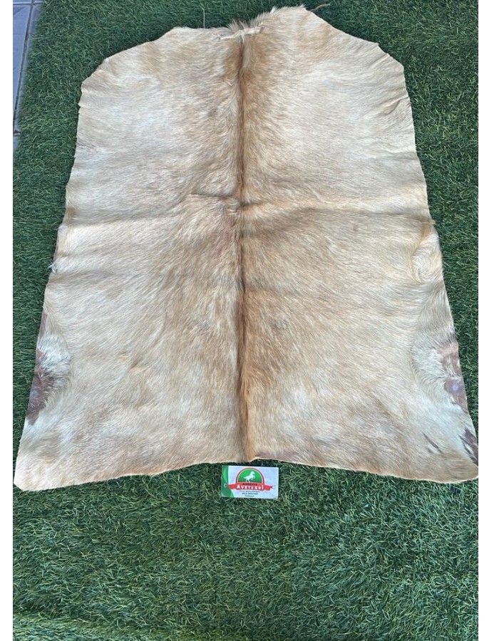 Produto fcdb01 0