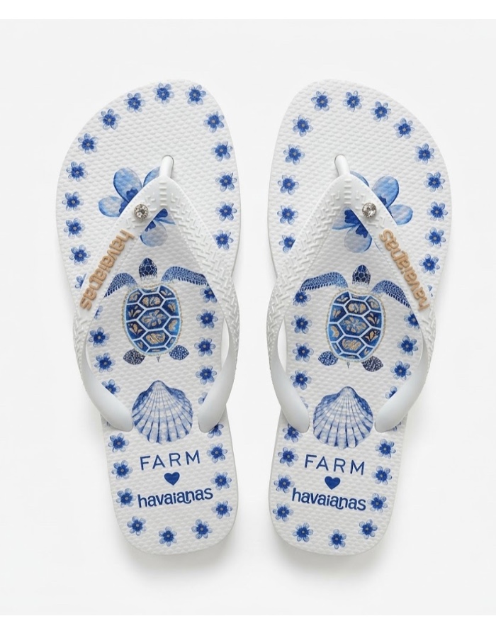 TARTARUGA AZUL