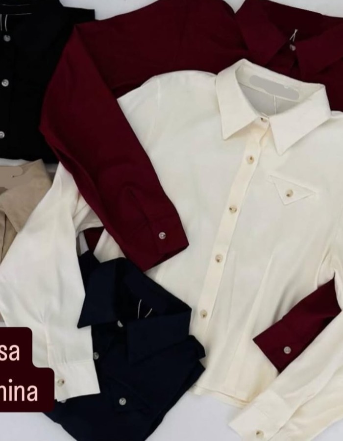 CAMISA LENIER 