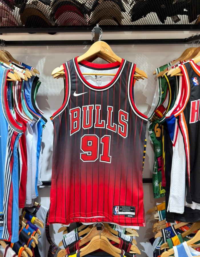 Chicago bulls - Dennis Rodman 91
