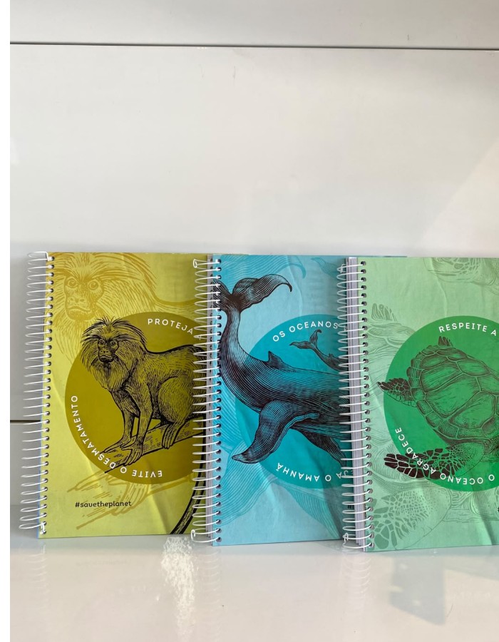 CADERNO 15 MATÉRIAS