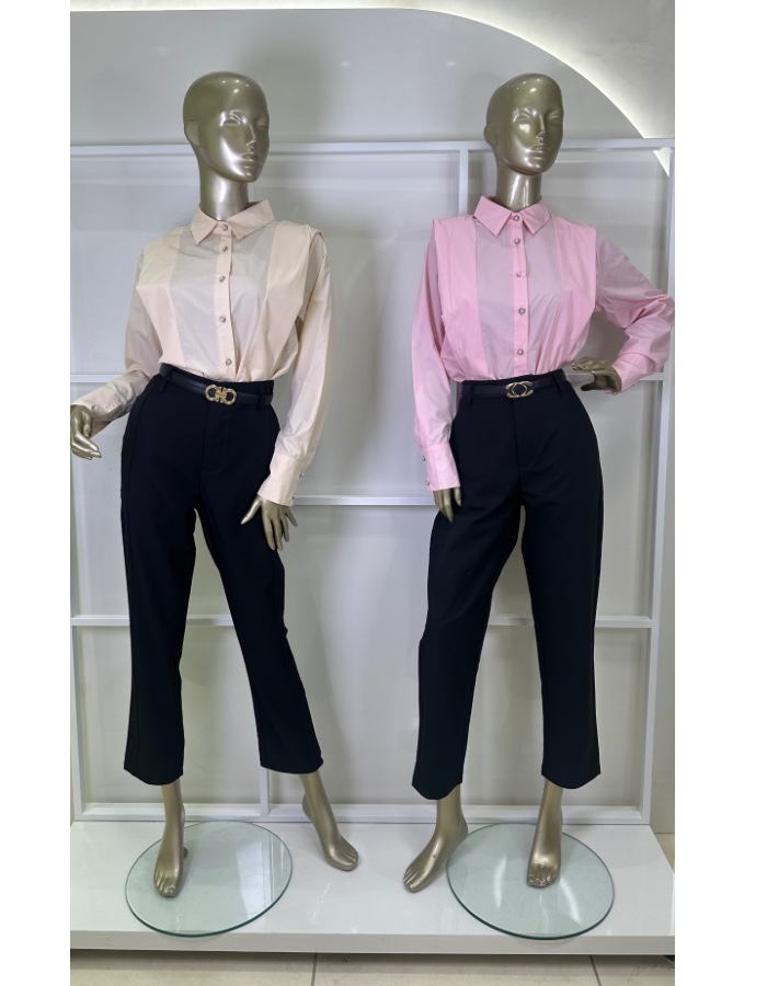 Blusa