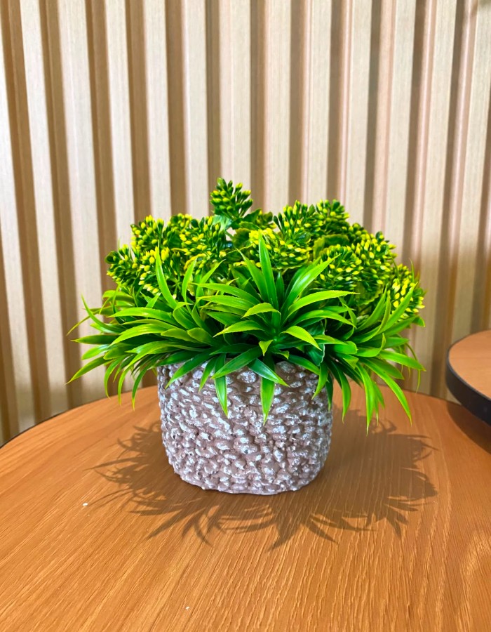VASO C/PLANTA ART.