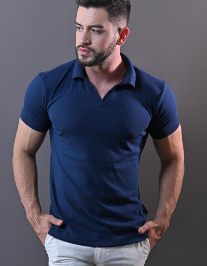 polo v 